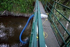 IMG-20260816-WA0004
