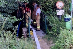 IMG-20260816-WA0006