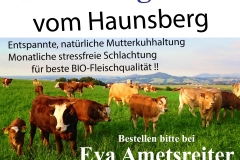 1_Fa.-Ing.-Josef-Ametsreiter-Logo