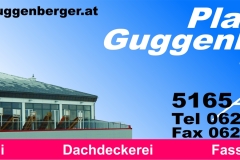 1_Plansky-Guggenberger-GmbH-Logo