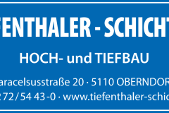 Tiefenthaler-Schichtle-Logo