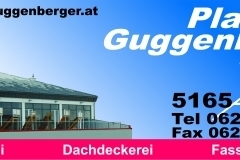 thumbs_Plansky-Guggenberger-GmbH-Logo
