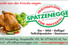 thumbs_Spatzenegger-Logo
