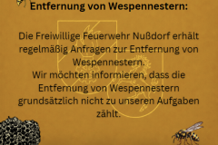 Wespen_1