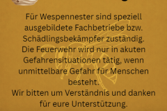 Wespen_2